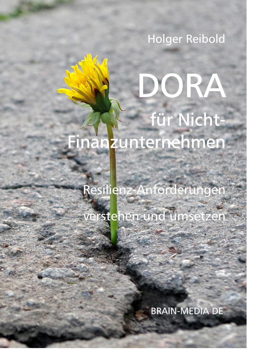 DORA für Nicht-Finanzexperten